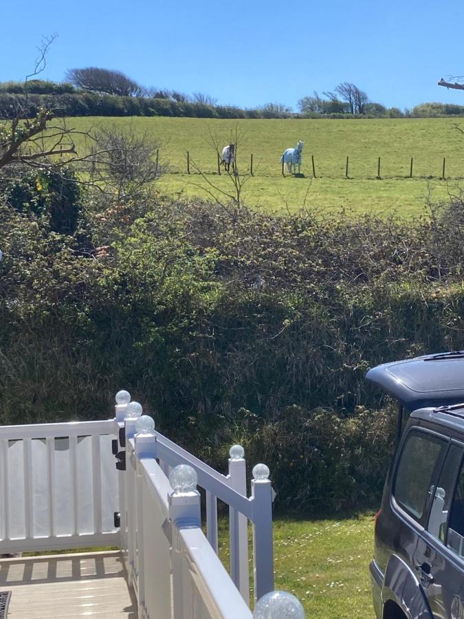 Mollys Retreat Pet Friendly Three Bed Caravan With Small Garden Newquay Bay Resort Quieter Area Of Park New Quay Exterior foto